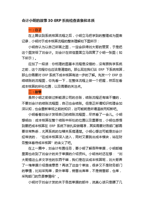 会计小明的故事30-ERP系统检查表象和本质