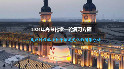 2024年高考化学一轮复习-反应过程溶液粒子浓度变化的图像分析(共48张ppt)