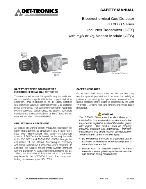 Detector Electronics GT3000 Series Safety-Certifie