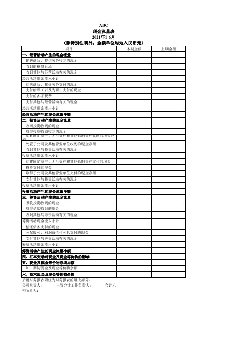 2021最新现金流量表标准格式模板