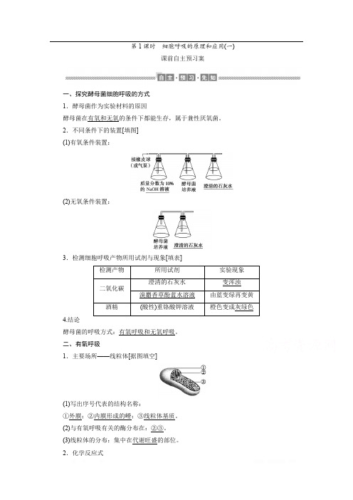 2019-2020学年(新教材)生物人教版必修1学案：5.3.1 细胞呼吸的原理和应用(一) 