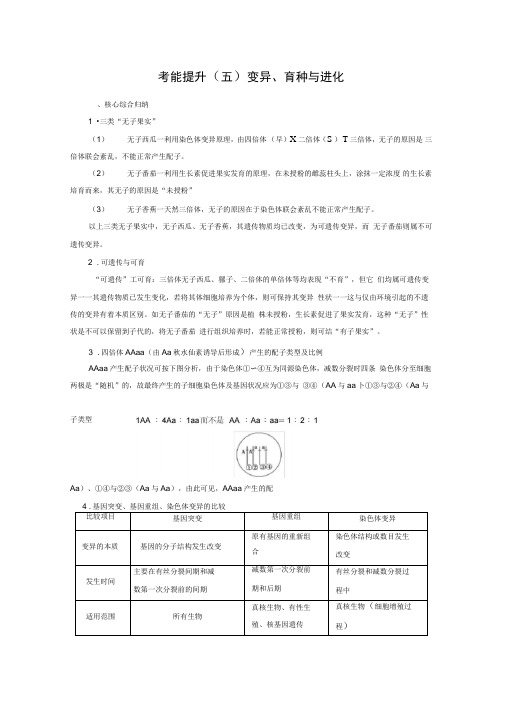 2021新高考生物人教版一轮复习讲义：考能提升(五)变异、育种与进化(含答案)