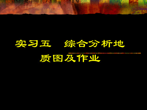 实习五  金山镇综合分析地质图及作业