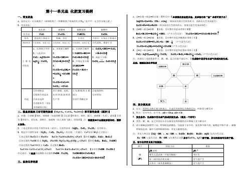 九年级化学第十一单元盐 化肥复习提纲