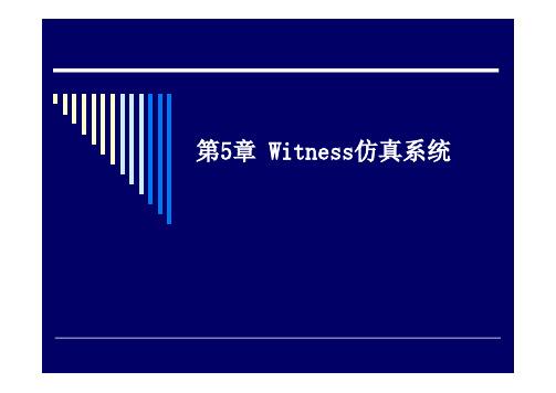 第5章 witness仿真系统(本)