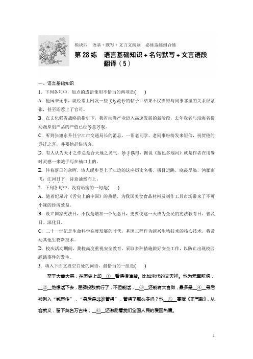 【加练半小时】2018年高考语文(全国通用)专题复习练第28练