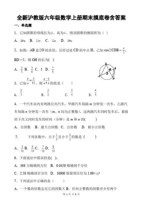 全新沪教版六年级数学上册期末摸底卷含答案