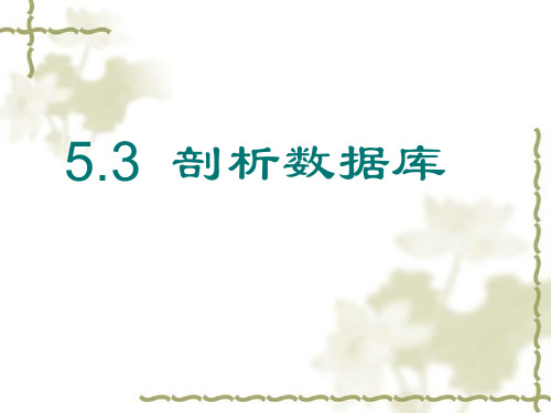 高中信息技术_5.3 剖析数据库教学课件设计