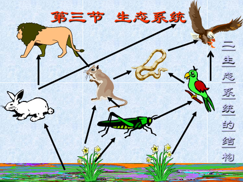 生态系统的结构