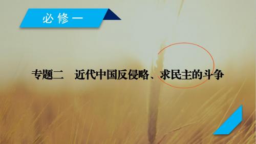 2019年高考历史人民版一轮复习课件:必修1 第3讲列强入侵与民族危机和中国军民维护国家主权的斗争 精品