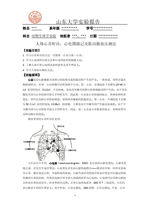 【VIP专享】人体心音听诊、心电图描记及肱动脉血压测定