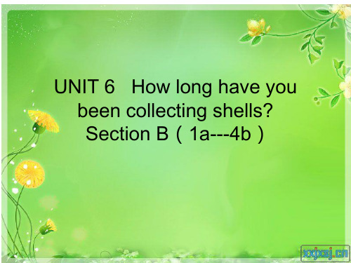 新目标初中英语八年级下册《Unit6 How long have you been collecti