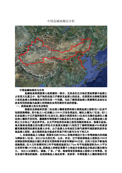 盐碱地分布及改良方法