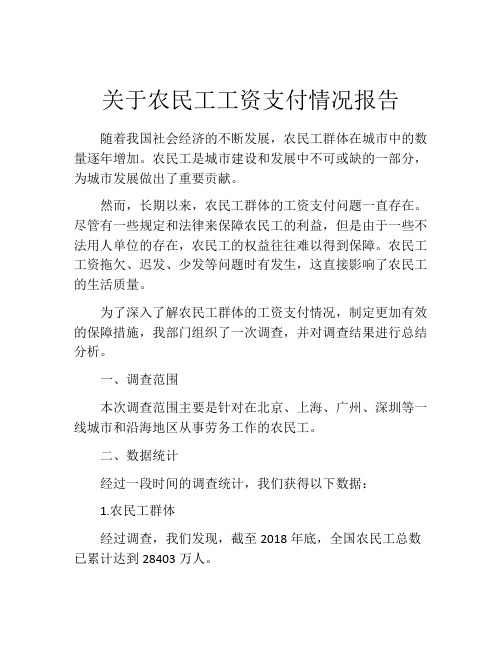 关于农民工工资支付情况报告