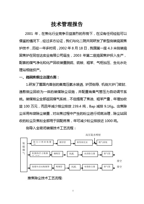 技术管理报告