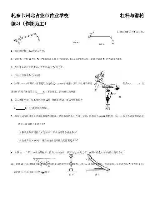 九年级物理专题练习 杠杆与滑轮试题