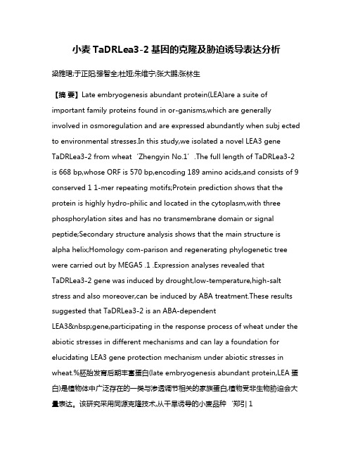 小麦TaDRLea3-2基因的克隆及胁迫诱导表达分析