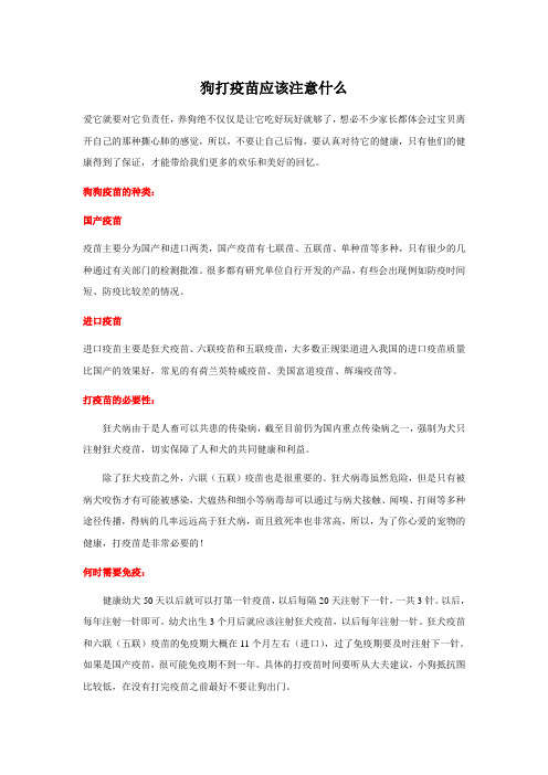 狗打疫苗应该注意什么