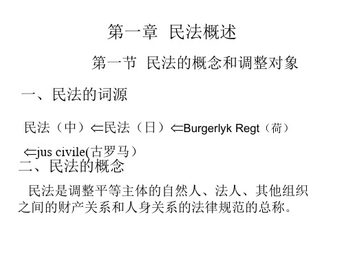 民法总论   全套课件-文档资料