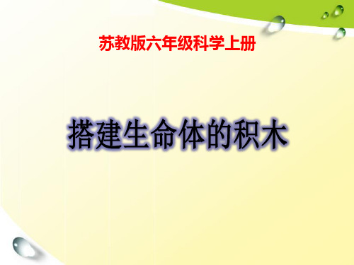 苏教版小学科学六年级上册《搭建生命体的“积木”》 教学课件