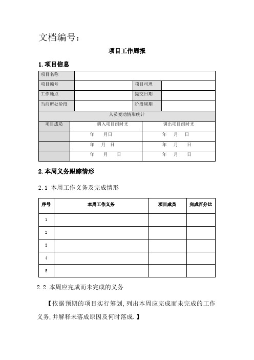 项目工作周报模板