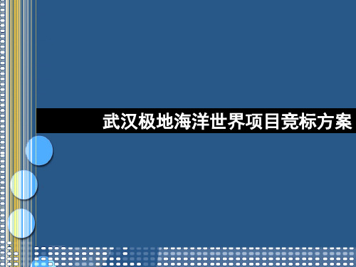 武汉极地海洋世界项目营销策划方案