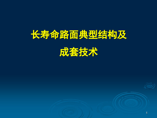 长寿命路面详细介绍