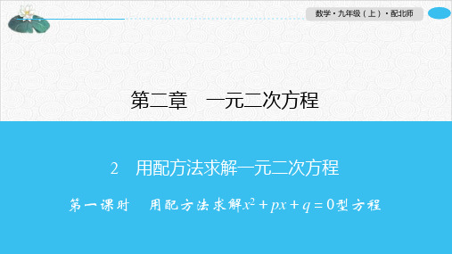 2.2用配方法求解x2+px+q=0型方程北师大版九年级数学上册习题PPT课件