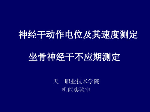 神经干动作电位及其速度测定