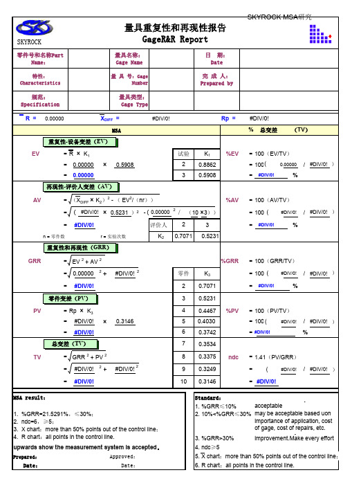 (精编)GR-R报告分析模板