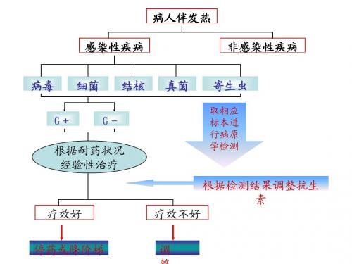 伤寒(英文标题)