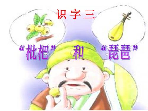 识字三枇杷和琵琶课件