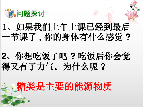 人教版高中生物必修一细胞中的糖类和脂质-ppt精品课件