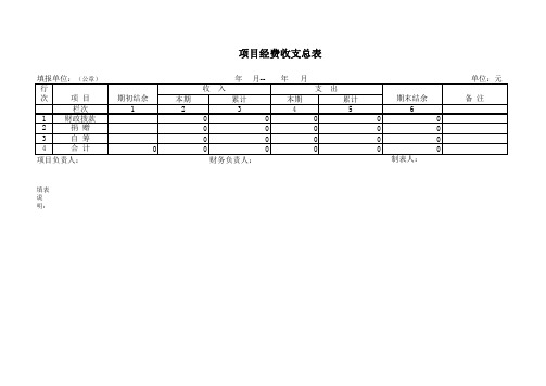 项目经费收支总表模板