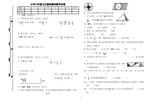 小学六年级文化素质测试数学试卷