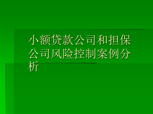 小贷公司风控培训课件145页PPT