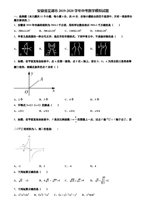 安徽省芜湖市2019-2020学年中考数学模拟试题含解析