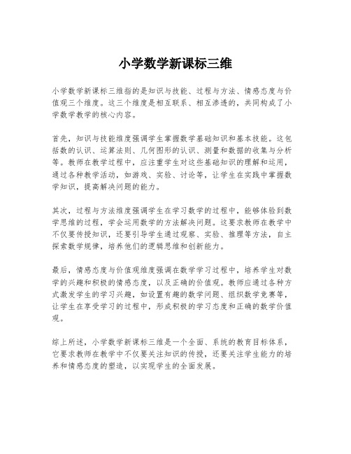 小学数学新课标三维