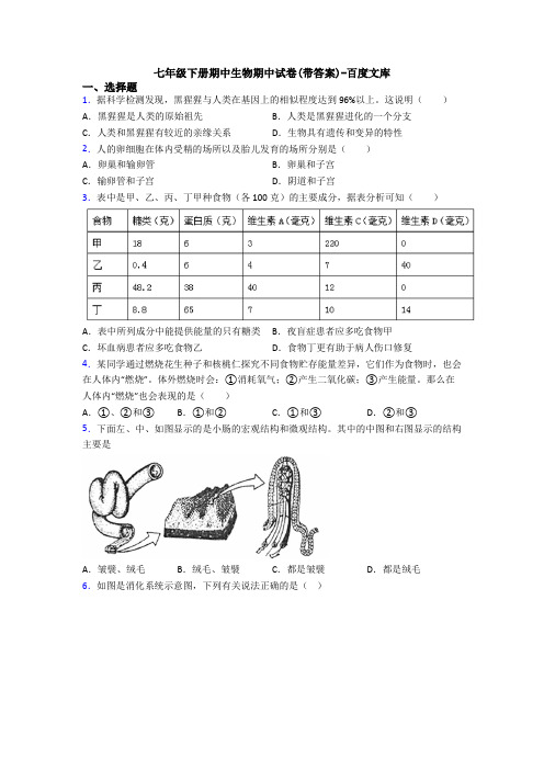 七年级下册期中生物期中试卷(带答案)-百度文库