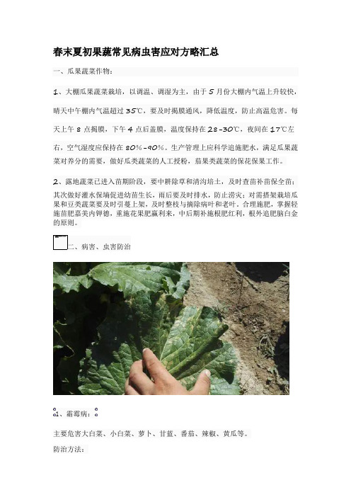 春末夏初果蔬常见病虫害应对方略汇总