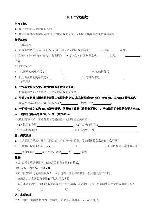 新苏科版九年级数学下册《5章 二次函数  5.1 二次函数》教案_17