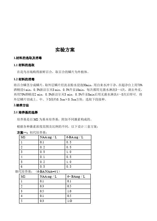 百合组织培养和快速繁殖技术