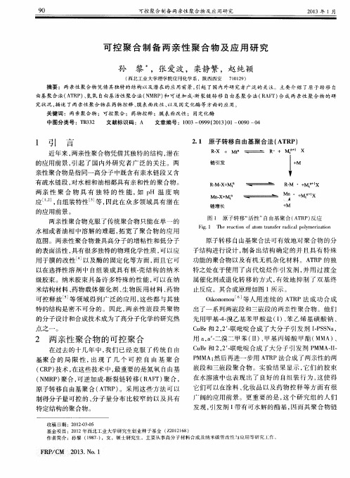 可控聚合制备两亲性聚合物及应用研究