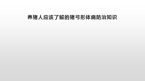 养猪人应该了解的猪弓形体病防治知识