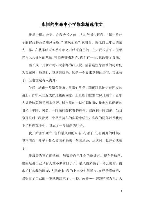 永恒的生命中小学想象精选作文