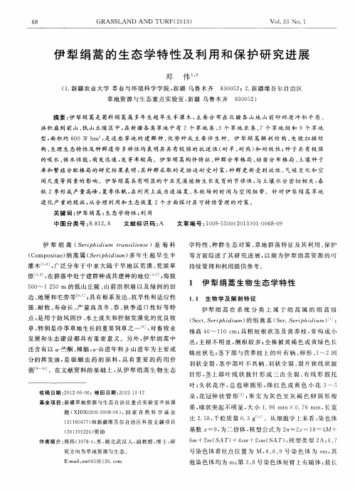 伊犁绢蒿的生态学特性及利用和保护研究进展