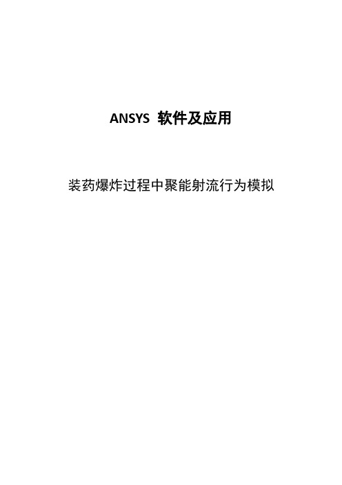 装药爆炸过程中聚能射流行为模拟