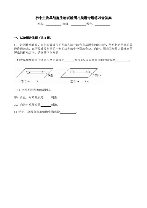 初中生物单细胞生物试验图片类题专题练习含答案