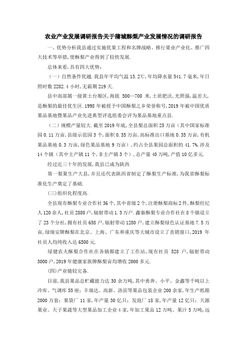 农业产业发展调研报告 关于蒲城酥梨产业发展情况的调研报告 精品