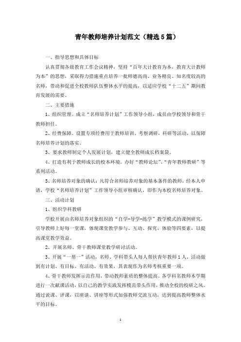 青年教师培养计划范文(5篇)(最新)